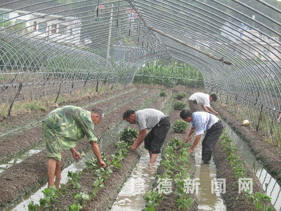 培陵区人口_人口老龄化(2)